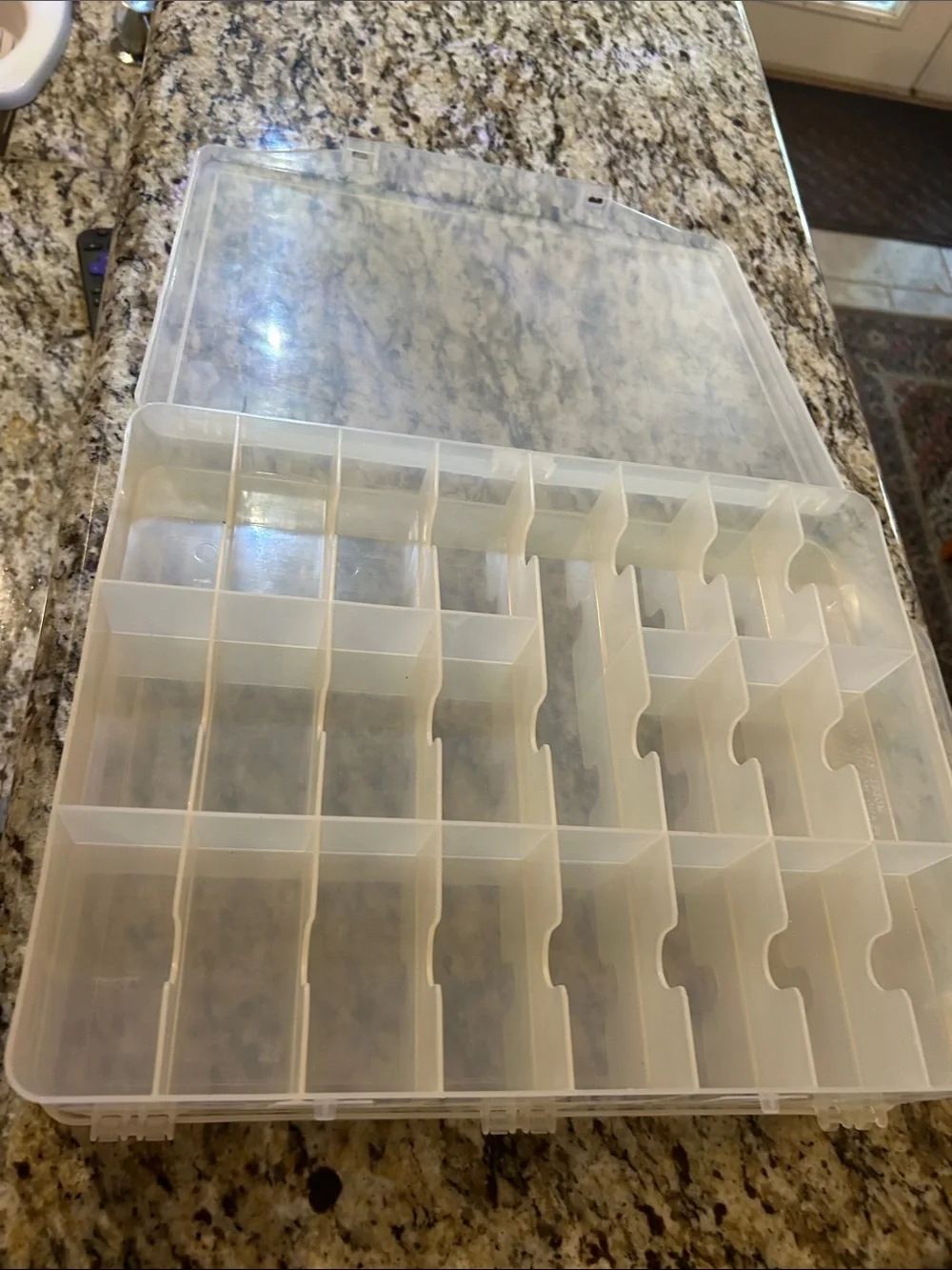 Multi-Compartment Clear Plastic Double Sided Organizer with Caring Handle